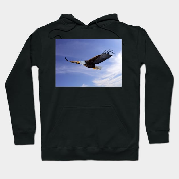 Flying Bald Eagle Hoodie by kawaii_shop